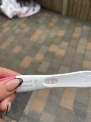 IVF transfer October 2024