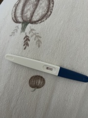 AM I PREGNANT?