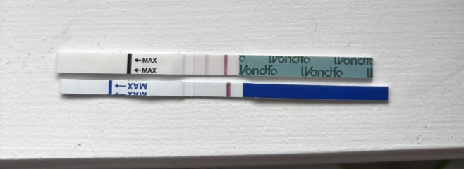 Is there a vvvvvvv faint line or have I officially lost the plot?