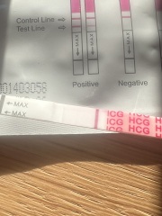 Have you fallen pregnant immediately after miscarriage?