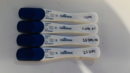 Seems like chemical pregnancy