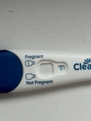 Positive pregnancy test?