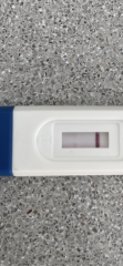 Pregnancy test false positive?