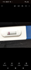 Test progression