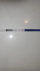 Ewcm on cd8