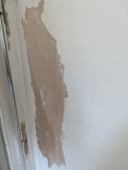 Extension bathroom mould/damp - how did you fix yours?