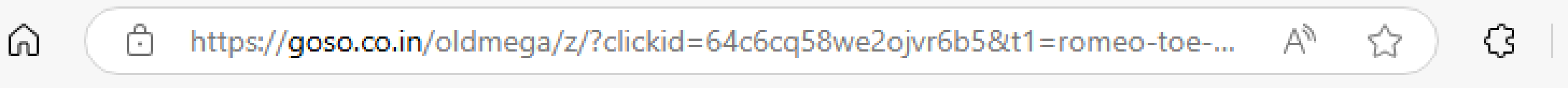Virus scam appearing only  when on Mumsnet