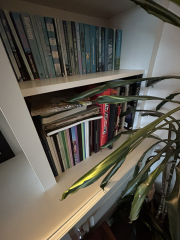 Show me you book collection