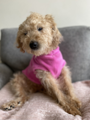 Stitch and bitch thread #10. There’s a pattern here