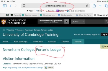 Bluestockings & Orange Wellies: Welcome to the Degu Station!