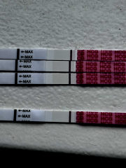 Positive Wondfo?? Please help