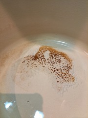 Le Creuset - can I rescue this pan?