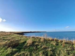 The Autumnal Christmas Chronicles Preamble - Thread 2 further ramblings