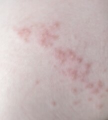 Would anyone know what this could be