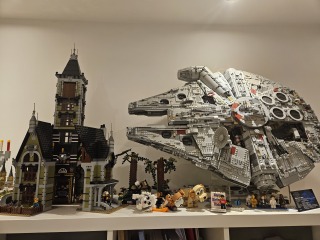To show me your Lego collection?