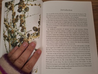 The Nigel Slater Christmas Chronicles Readalong 2024