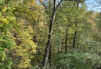 Come and tell me your dull and unexciting news 31: Calmly through the day