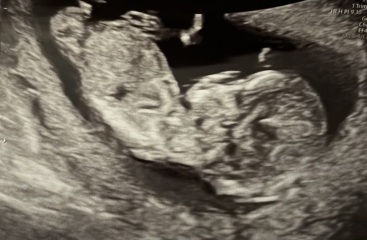 Any guesses?