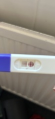 Positive pregnancy test then the line disappeared