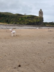 Mounjaro August Starters 6