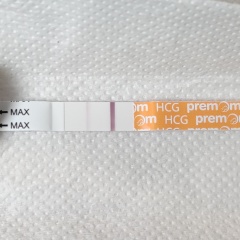 11dpo