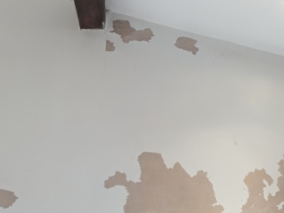 Extension bathroom mould/damp - how did you fix yours?
