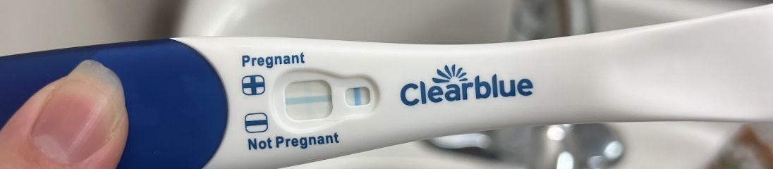 Positive on strip pregnancy test negative on first response??