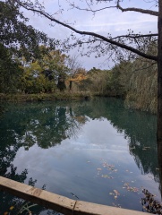 The Autumnal Christmas Chronicles Preamble - Thread 2 further ramblings