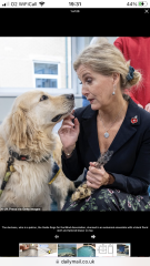 Royal Style: Welcome to the Court of the Dragon Queen!