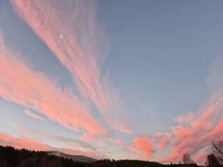 The Nigel Slater Christmas Chronicles Readalong 2024