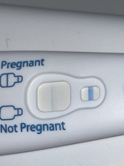 Positive or Evap Line