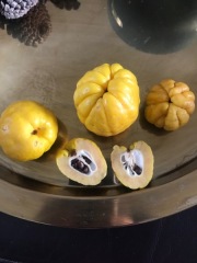 The Nigel Slater Christmas Chronicles Readalong 2024