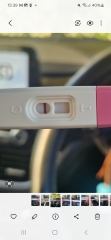 Pregnancy test