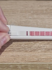 2dpo buddies please join!!