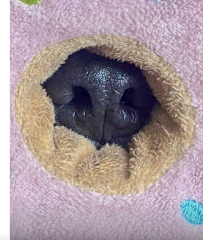 To think JellyCats cost a ridiculous amount..