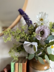 Making a cut flower garden.