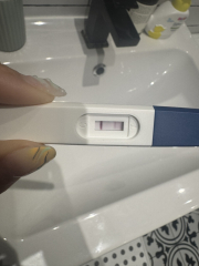 Lines eyes if no one minds