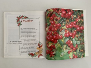 Is there a book/course that will tell me what to do when in my garden?