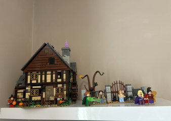 To show me your Lego collection?