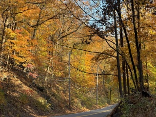 Come and tell me your dull and unexciting news 31: Calmly through the day