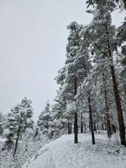 The Autumnal Christmas Chronicles Preamble - Thread 2 further ramblings