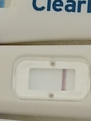 Am I Pregnant or Not