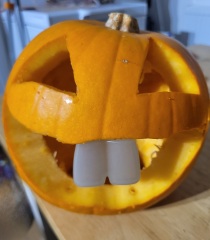 Show us your pumpkins!