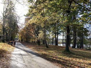 The Nigel Slater Christmas Chronicles Readalong 2024