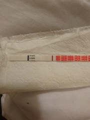 I think I have finally gone mad! Please help!