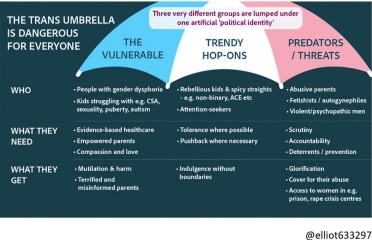 12 ways to gently respectfully challenge pro-trans arguments