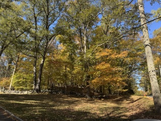 Come and tell me your dull and unexciting news 31: Calmly through the day