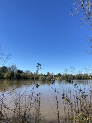 The Autumnal Christmas Chronicles Preamble - Thread 2 further ramblings