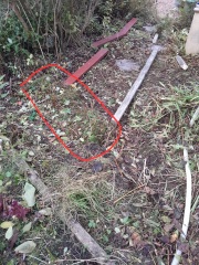 What have you done in the garden today? Part 6