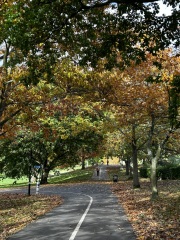 The Autumnal Christmas Chronicles Preamble - Thread 2 further ramblings